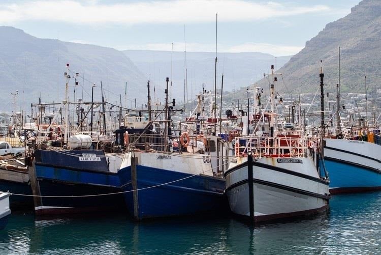 Hout Bay kikötője, Fokváros.