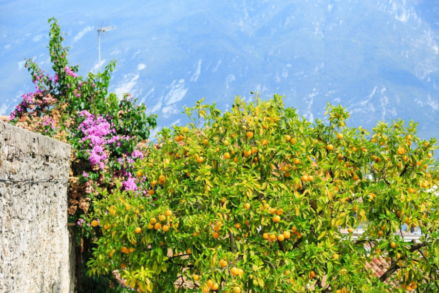 Limone sul Garda